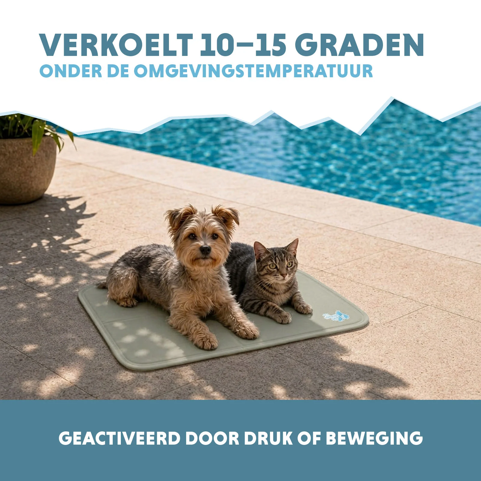 Kühlmatte für Hunde mit festem Gel, Olivgrün, S 50 x 40 cm – Coolpets Gel Cooling Mat – Bild 4