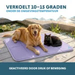 Kühlmatte für Hunde mit festem Gel, Lila, XL 120 x 70 cm – Coolpets Gel Cooling Mat – Bild 4