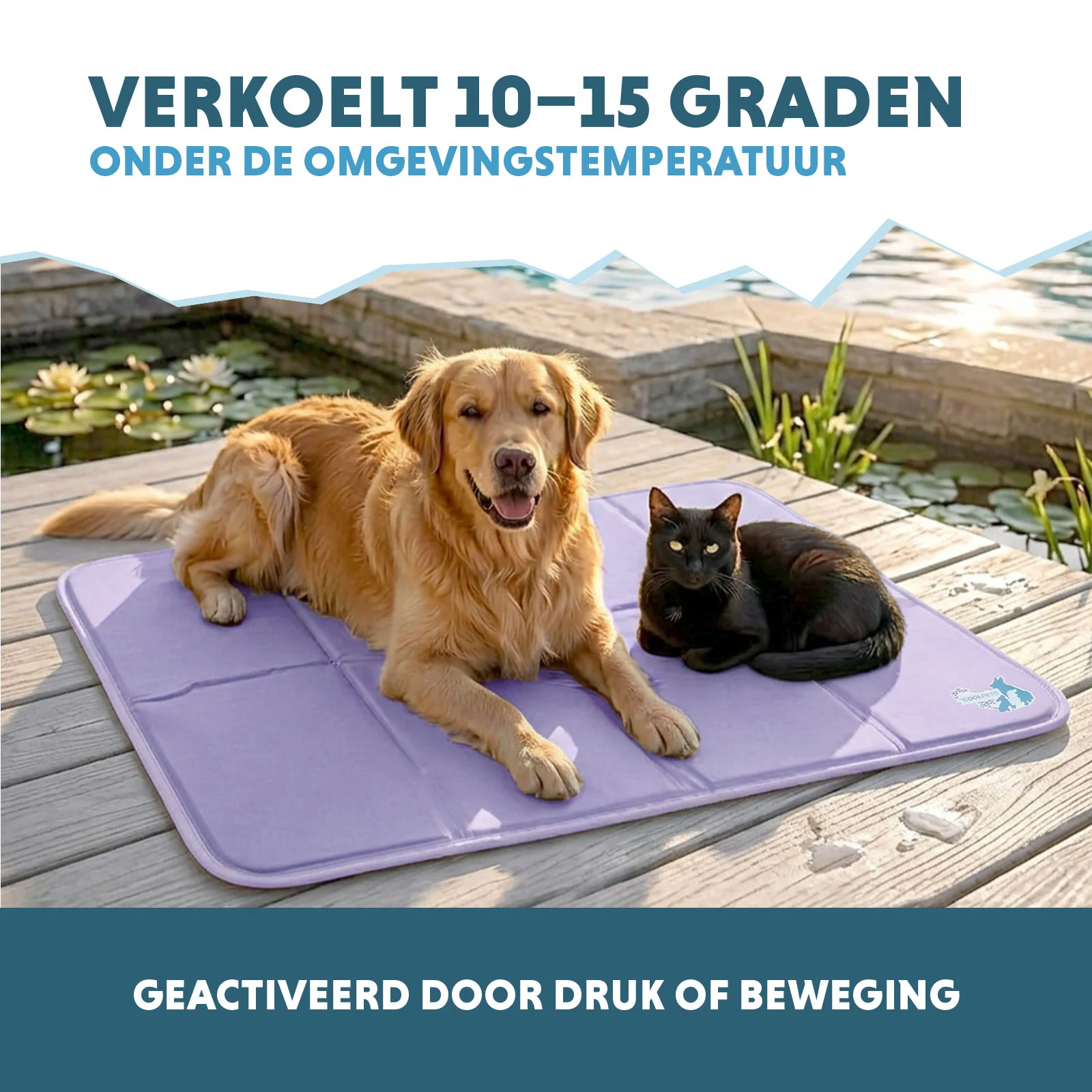 Kühlmatte für Hunde mit festem Gel, Lila, XL 120 x 70 cm – Coolpets Gel Cooling Mat – Bild 4