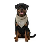 Kühlhalstuch für Hunde, Beige, L, 85 x 40 cm – Coolpets Cooling Bandana