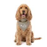 Kühlbandana für Hunde, Beige, M, 65 x 30 cm – Coolpets Cooling Bandana