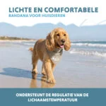 Kühlbandana für Hunde, Beige, M, 65 x 30 cm – Coolpets Cooling Bandana – Bild 4