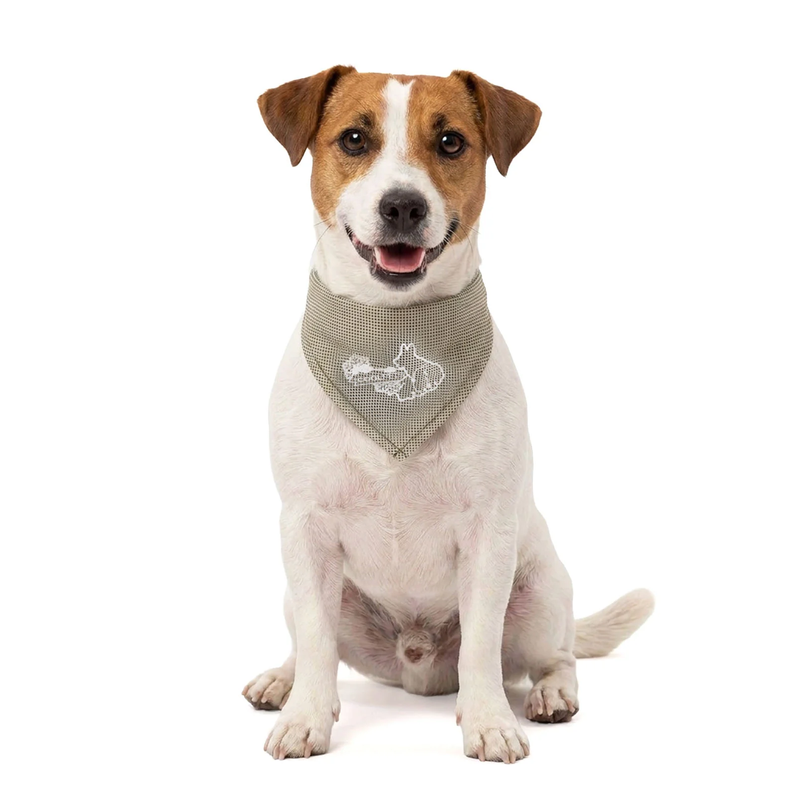 Kühlbandana für Hunde, Beige, S, 45 x 20 cm – Coolpets Cooling Bandana – Bild 1