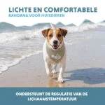 Kühlbandana für Hunde, Beige, S, 45 x 20 cm – Coolpets Cooling Bandana – Bild 4