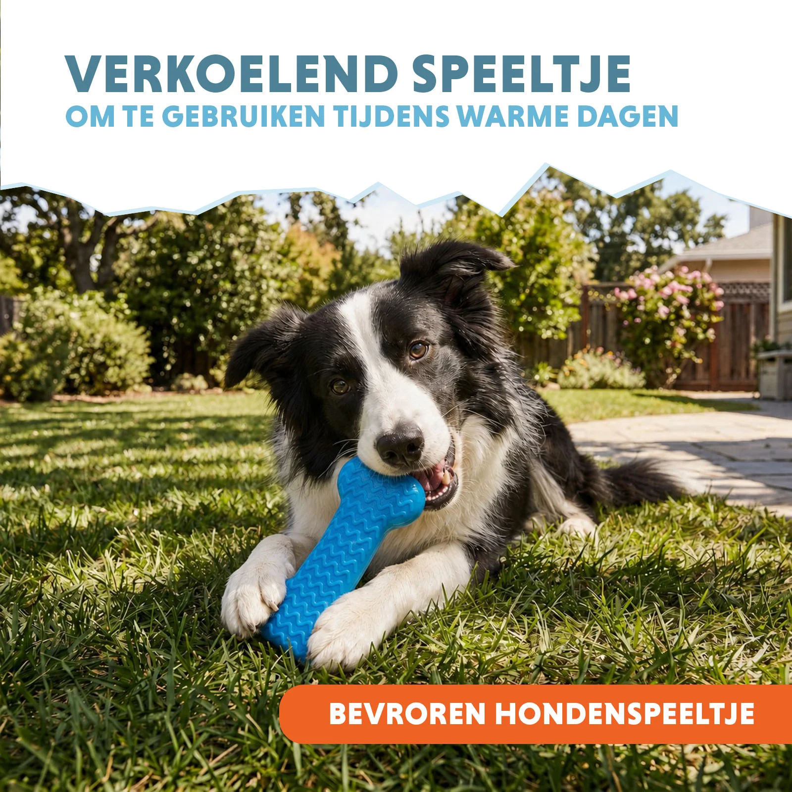Kühlendes Hundespielzeug in Knochenform, mit Wasser befüllbar, 14 x 6,7 x 3,8 cm – Coolpets Ice Bone – Bild 5