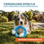 Kühlender Spielring für Hunde, mit Wasser befüllbar, 12 x 3,3 x 3,3 cm – Coolpets Ice Ring – Bild 5