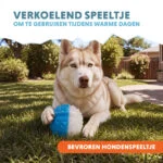 Kühlender Hundeball, 9 × 9 × 6,9 cm – Coolpets Ice Ball – Bild 5