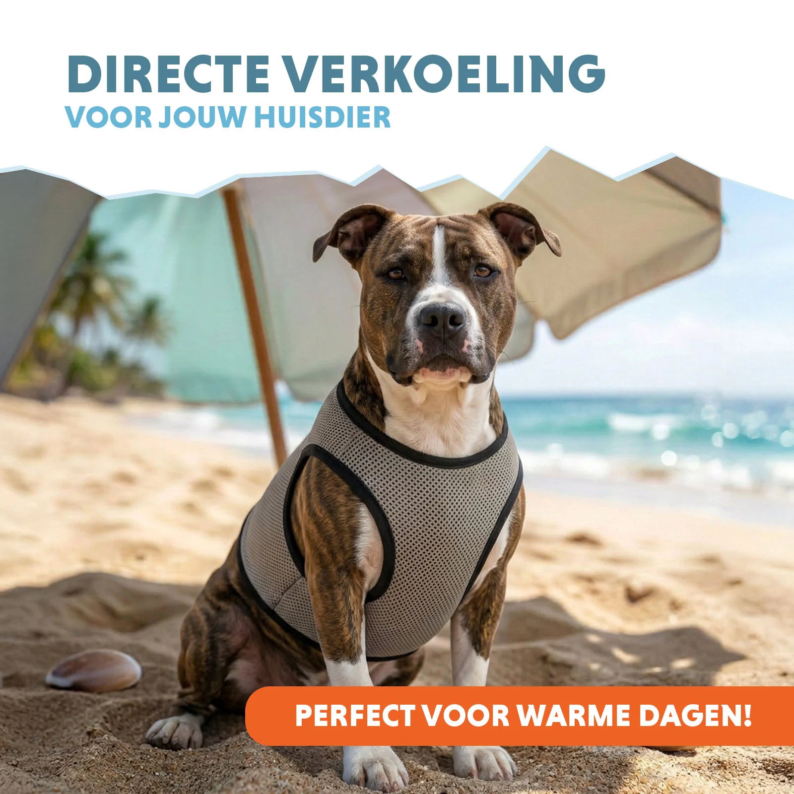 Kühlweste für Hunde, wasseraktiviert, L, Rückenlänge 35 cm – Coolpets Cooling Vest – Bild 2