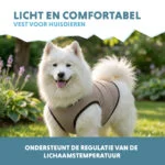 Kühlweste für Hunde, wasseraktiviert, L, Rückenlänge 35 cm – Coolpets Cooling Vest – Bild 4