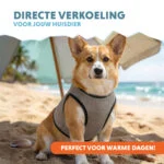 Kühlweste für Hunde, wasseraktiviert, M, Rückenlänge 30 cm – Coolpets Cooling Vest – Bild 2