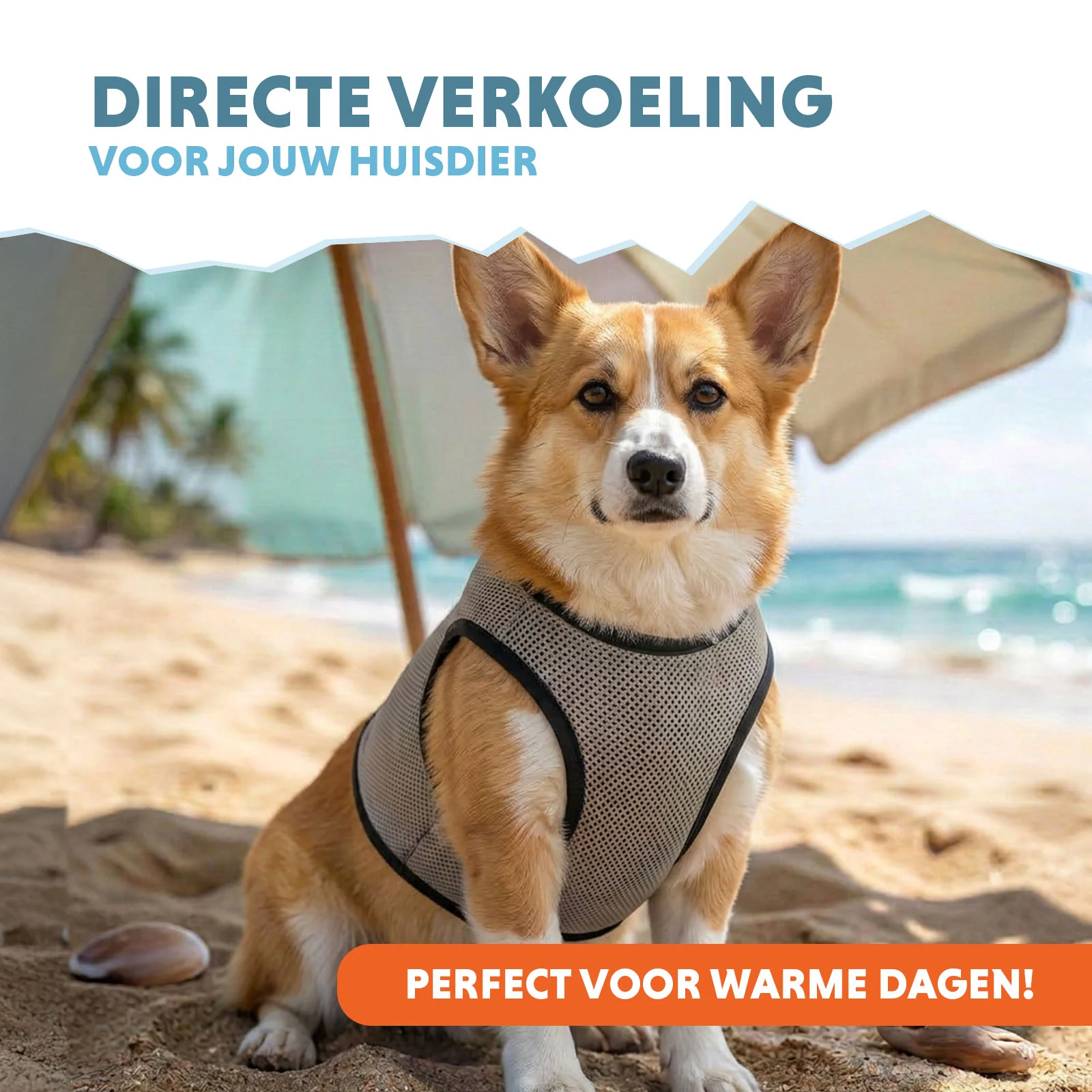 Kühlweste für Hunde, wasseraktiviert, M, Rückenlänge 30 cm – Coolpets Cooling Vest – Bild 2