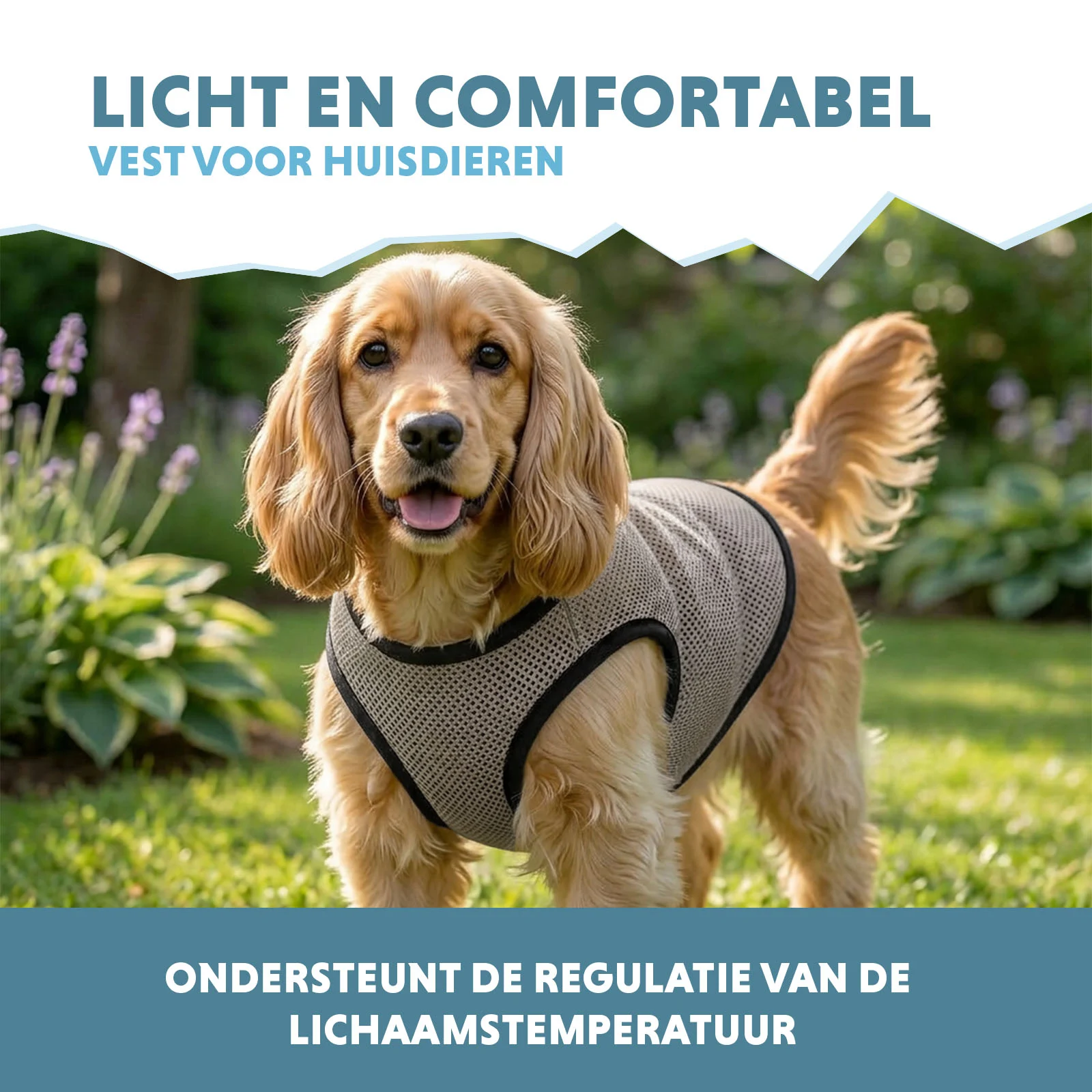 Kühlweste für Hunde, wasseraktiviert, M, Rückenlänge 30 cm – Coolpets Cooling Vest – Bild 4