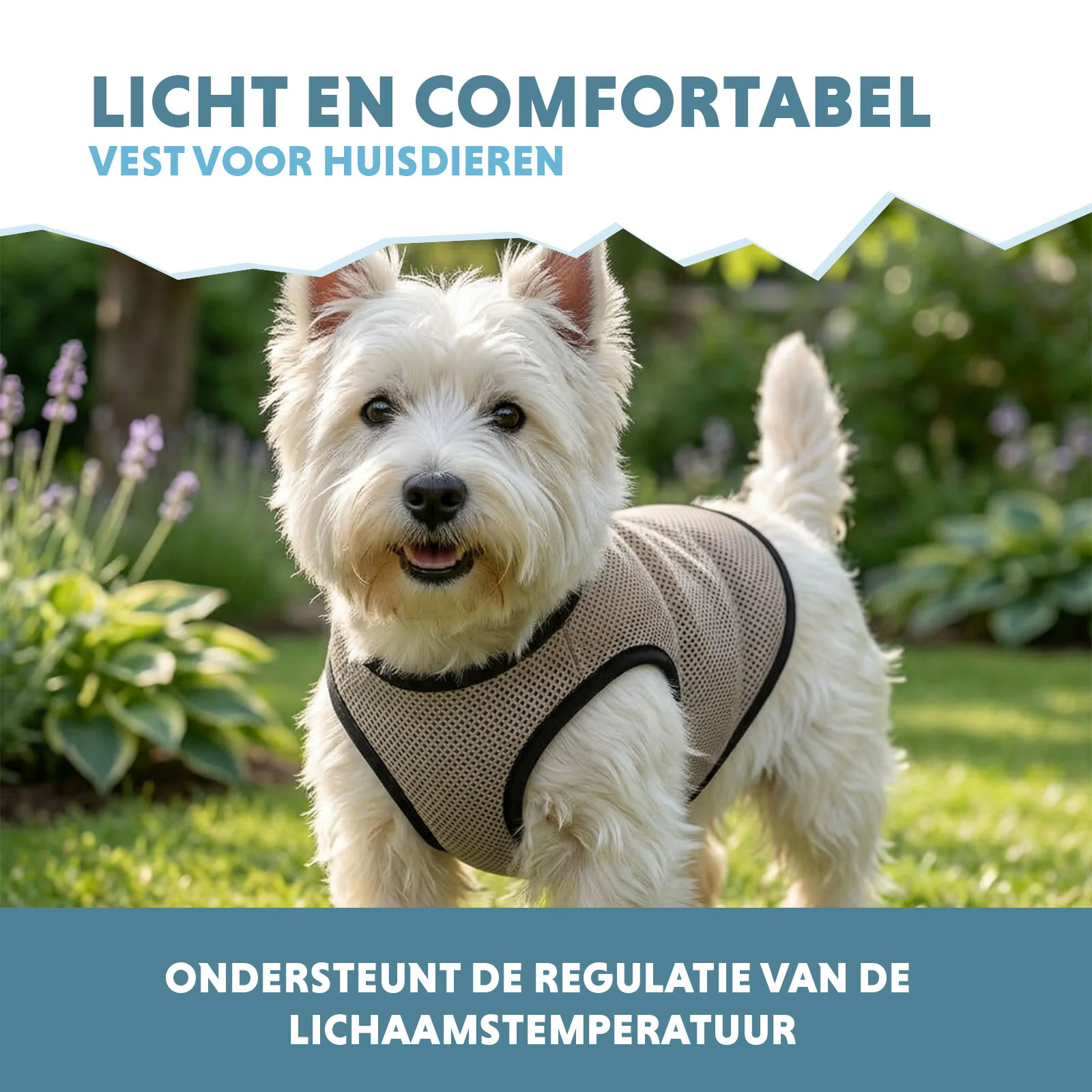 Kühlweste für Hunde, wasseraktiviert, S, Rückenlänge 25 cm – Coolpets Cooling Vest – Bild 4