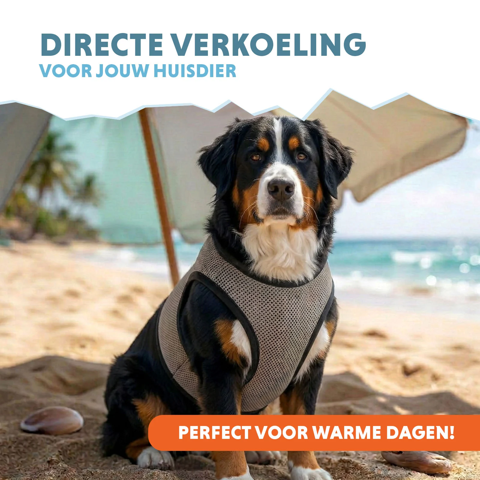 Kühlweste für Hunde, wasseraktiviert, XL, Rückenlänge 40 cm – Coolpets Cooling Vest – Bild 2