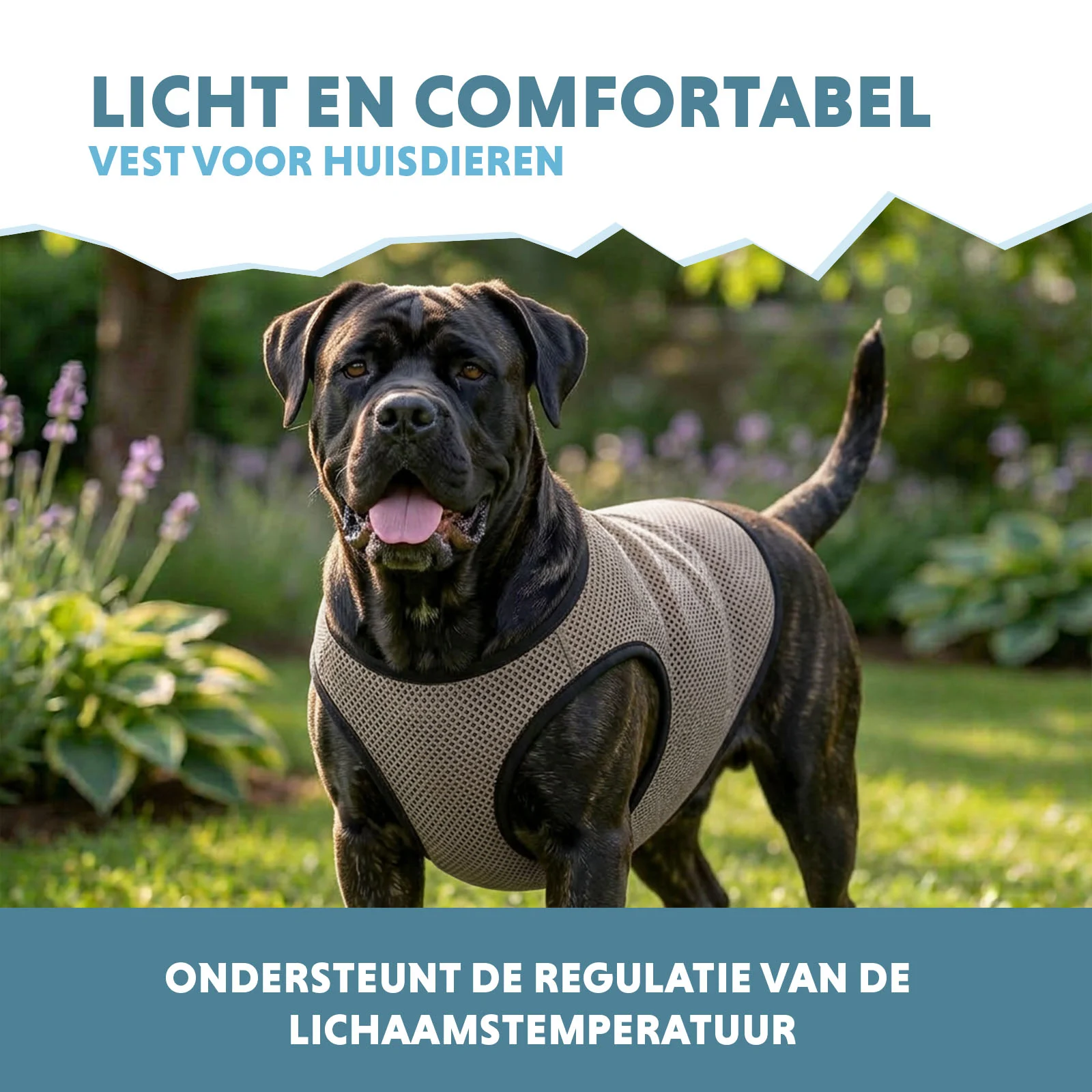 Kühlweste für Hunde, wasseraktiviert, XL, Rückenlänge 40 cm – Coolpets Cooling Vest – Bild 4