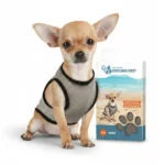 Kühlweste für Hunde, wasseraktiviert, XS, Rückenlänge 20 cm – Coolpets Cooling Vest