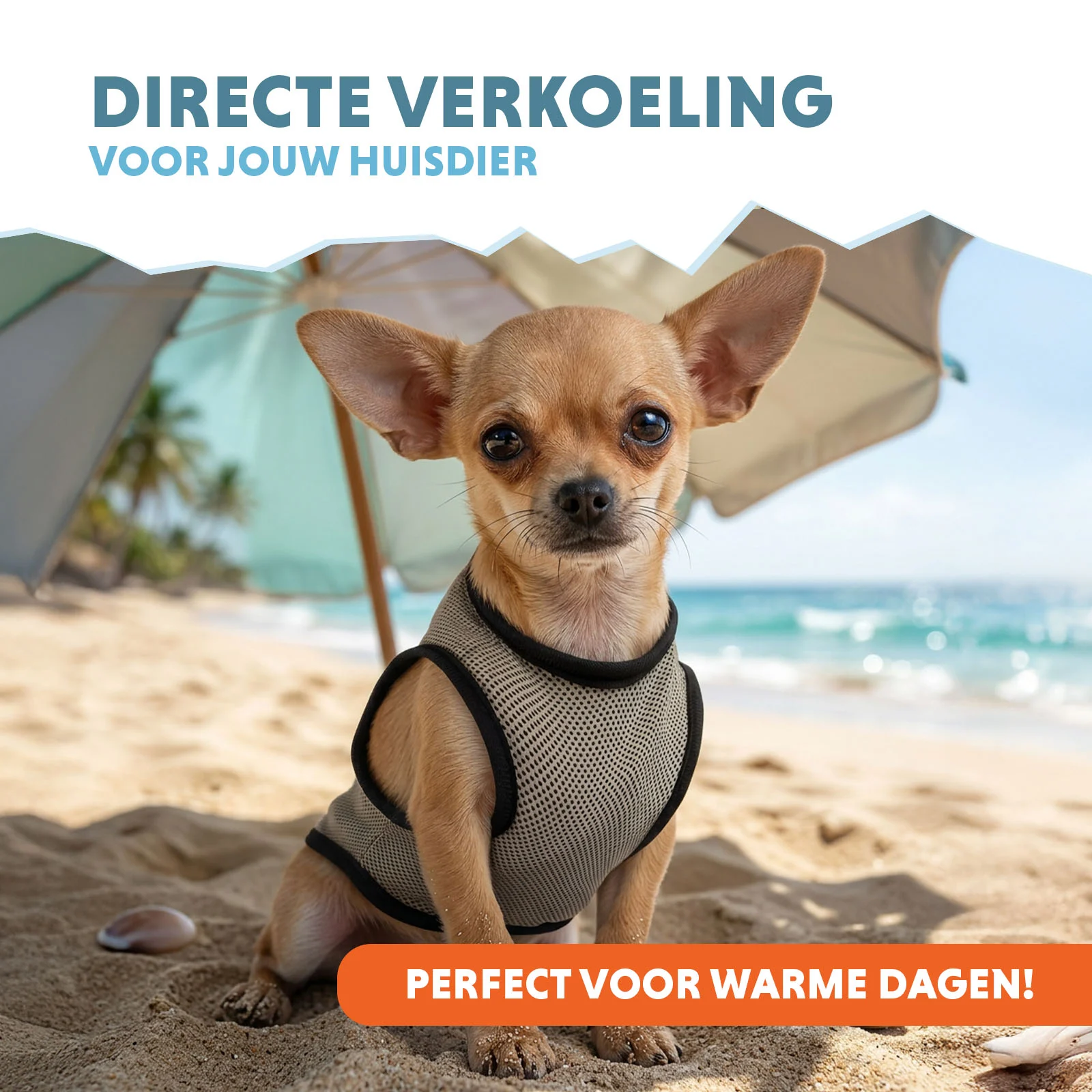 Kühlweste für Hunde, wasseraktiviert, XS, Rückenlänge 20 cm – Coolpets Cooling Vest – Bild 2