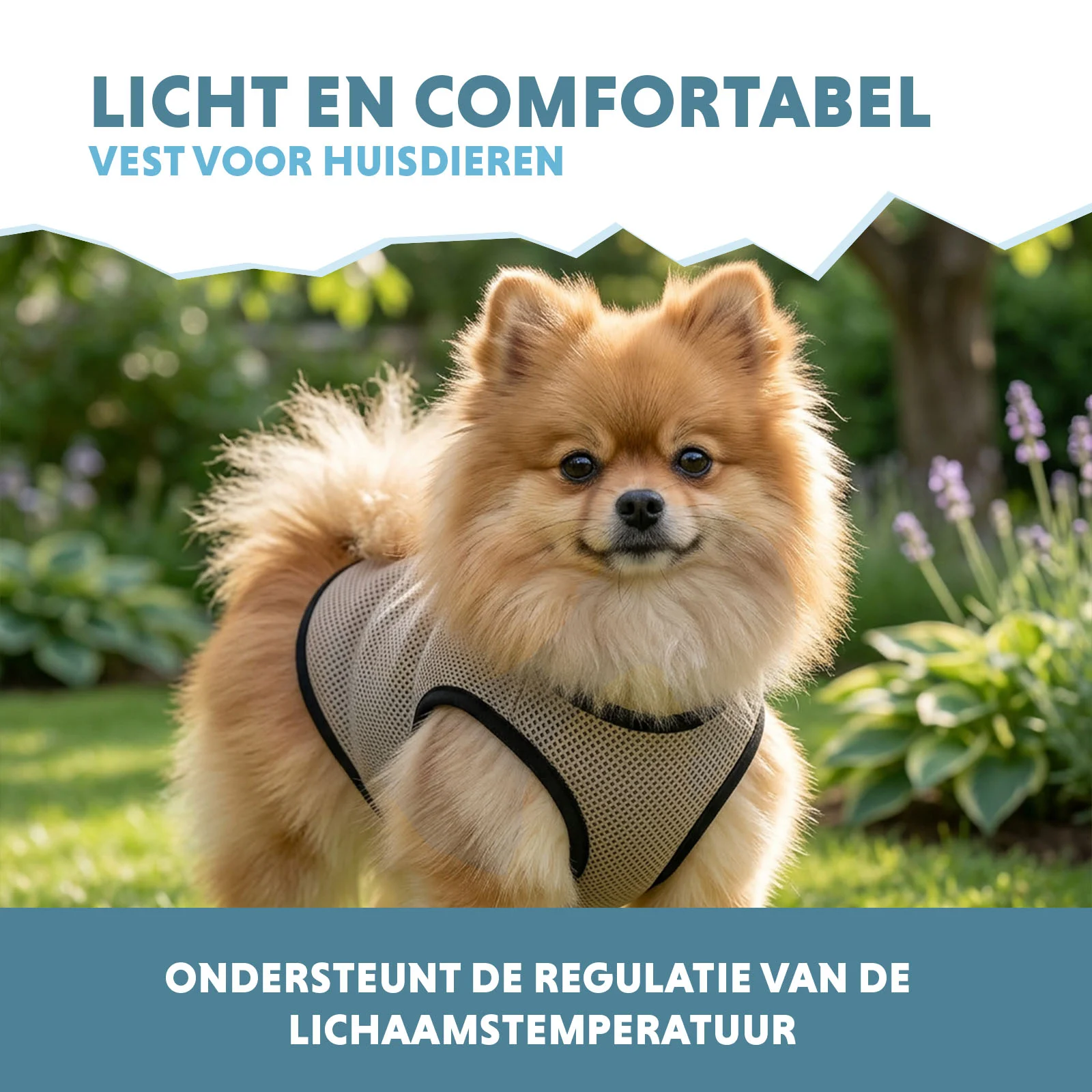 Kühlweste für Hunde, wasseraktiviert, XS, Rückenlänge 20 cm – Coolpets Cooling Vest – Bild 4