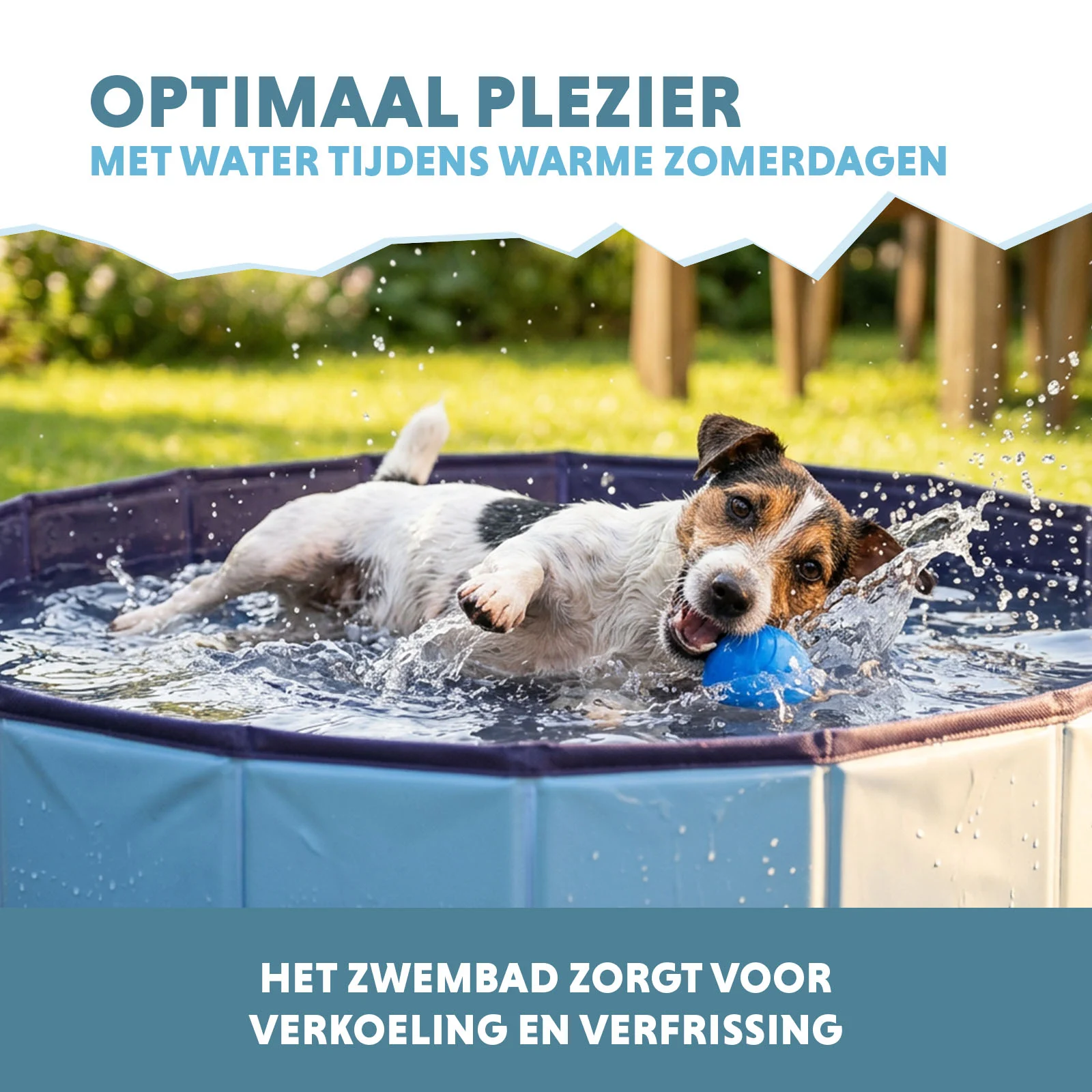 Hundepool mit rutschfestem Boden, faltbar, ø 80 x 20 cm – Coolpets Splash Dog Pool – Bild 4