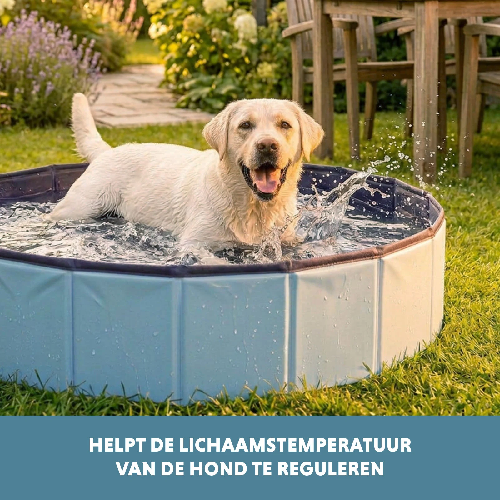 Hundepool mit rutschfestem Boden, faltbar, ø 80 x 20 cm – Coolpets Splash Dog Pool – Bild 6