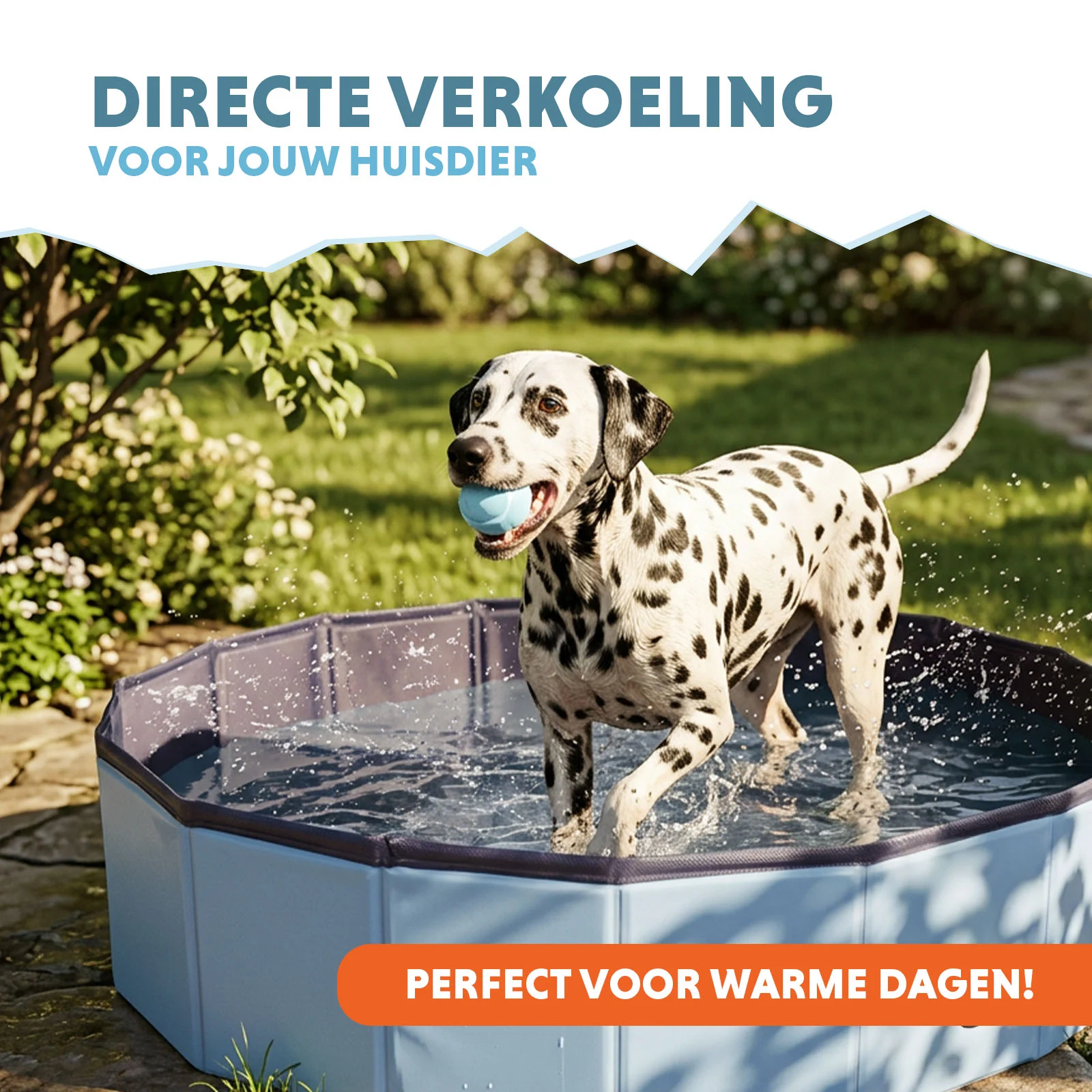 Hundepool mit rutschfestem Boden, faltbar, ø 120 x 30 cm – Coolpets Splash Dog Pool – Bild 2