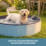 Hundepool mit rutschfestem Boden, faltbar, ø 120 x 30 cm – Coolpets Splash Dog Pool – Bild 6