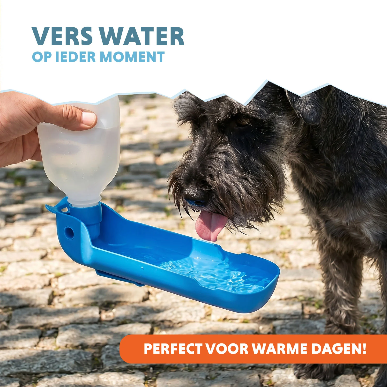 Trinkflasche für Hunde unterwegs, 300 ml – Coolpets Fresh 2GO – Bild 2