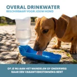 Trinkflasche für Hunde unterwegs, 300 ml – Coolpets Fresh 2GO – Bild 4