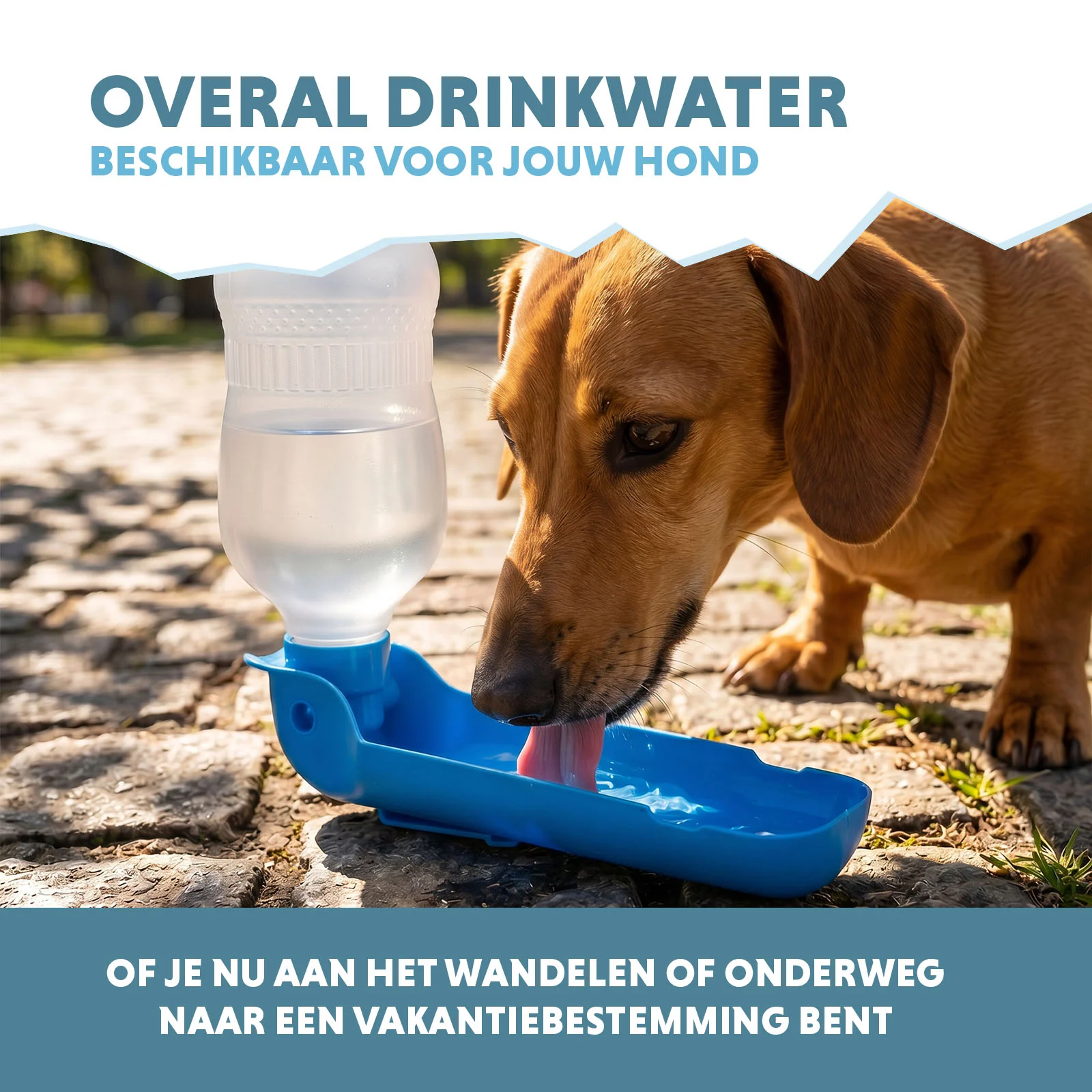 Trinkflasche für Hunde unterwegs, 300 ml – Coolpets Fresh 2GO – Bild 4