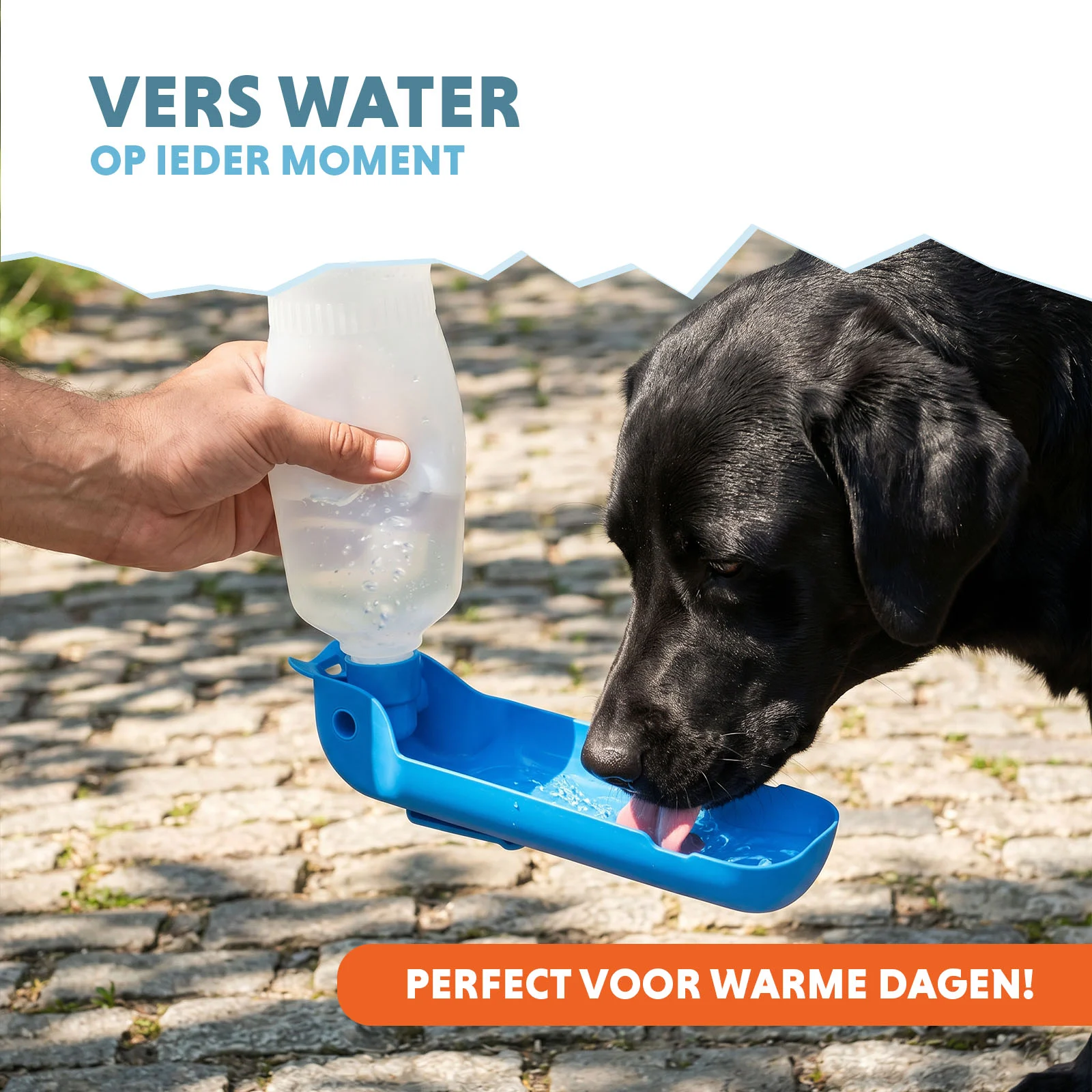 Trinkflasche für Hunde unterwegs, 500 ml – Coolpets Fresh 2GO – Bild 2