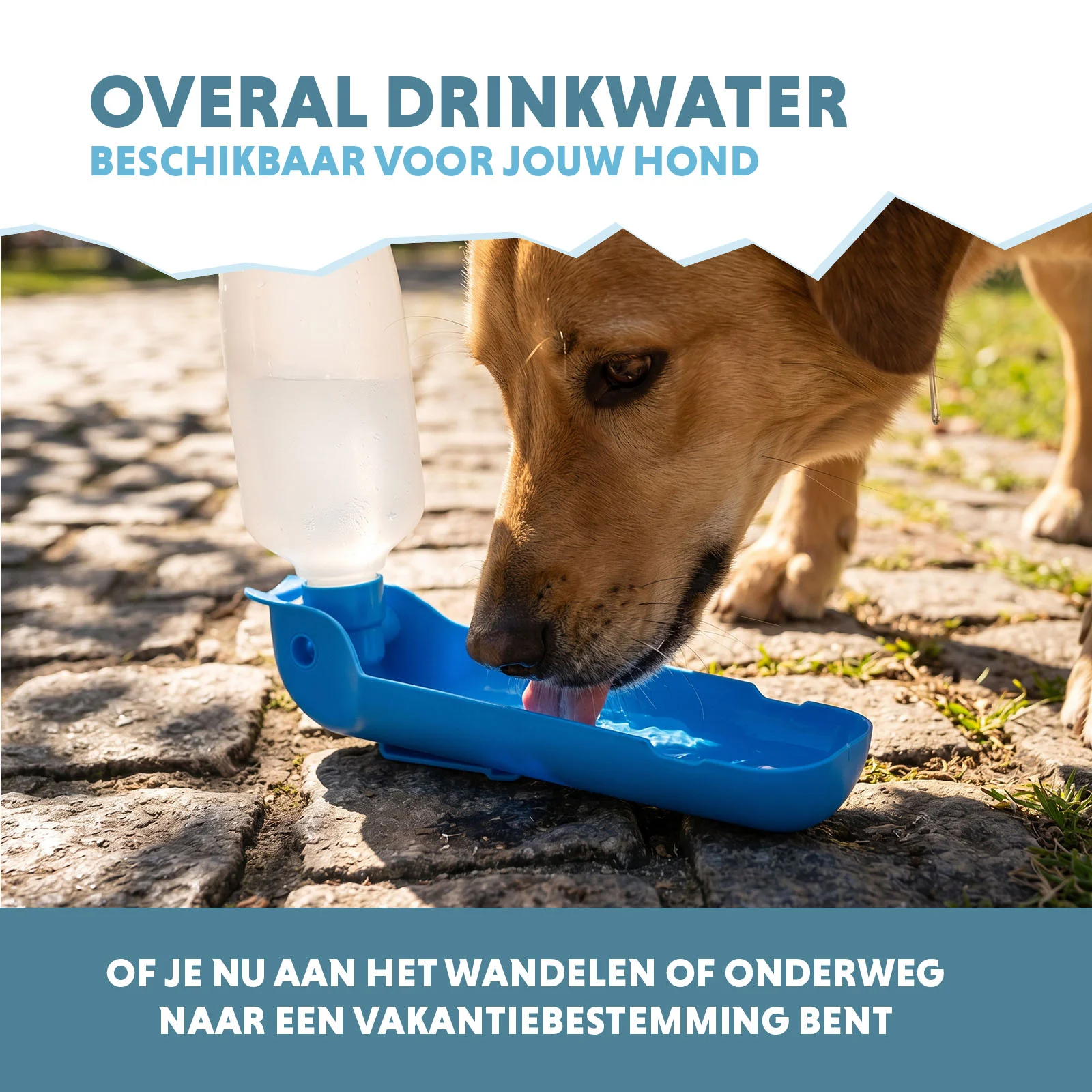 Trinkflasche für Hunde unterwegs, 500 ml – Coolpets Fresh 2GO – Bild 4