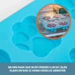 Form für 8 Hundeeisportionen – Coolpets Dog Ice Mix Tray – Bild 4