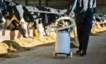 Drenchwagen mit Halterungen für Behälter und Schlauch, zusammenklappbar, 100 cm – Excellent Cow Drencher – Bild 2