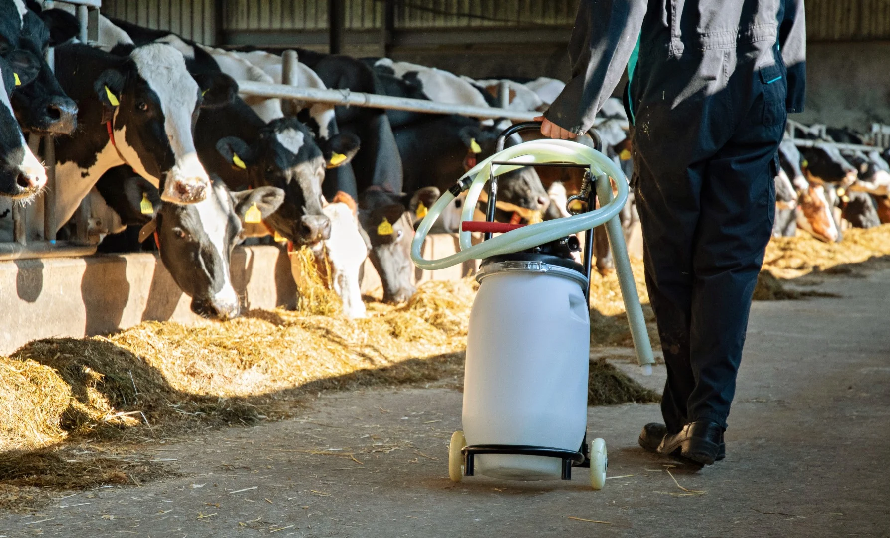 Drenchwagen mit Halterungen für Behälter und Schlauch, zusammenklappbar, 100 cm – Excellent Cow Drencher – Bild 2