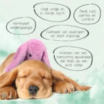 Hundeplüschtier Hase mit Herzschlag und Wärmesäckchen, Rosa, 30 x 20 cm – Cozy Dog Bunny – Bild 3