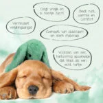 Hundekuscheltier Hase mit Herzschlag und aufwärmbarem Beutel, Grün, 30 x 20 cm – Cozy Dog Bunny – Bild 3