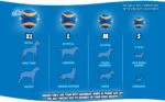 Hundeball aus Gummi mit Quietscher S, ø 5 cm, 2 Stück – Chuckit! Ultra Squeaker Ball – Bild 3