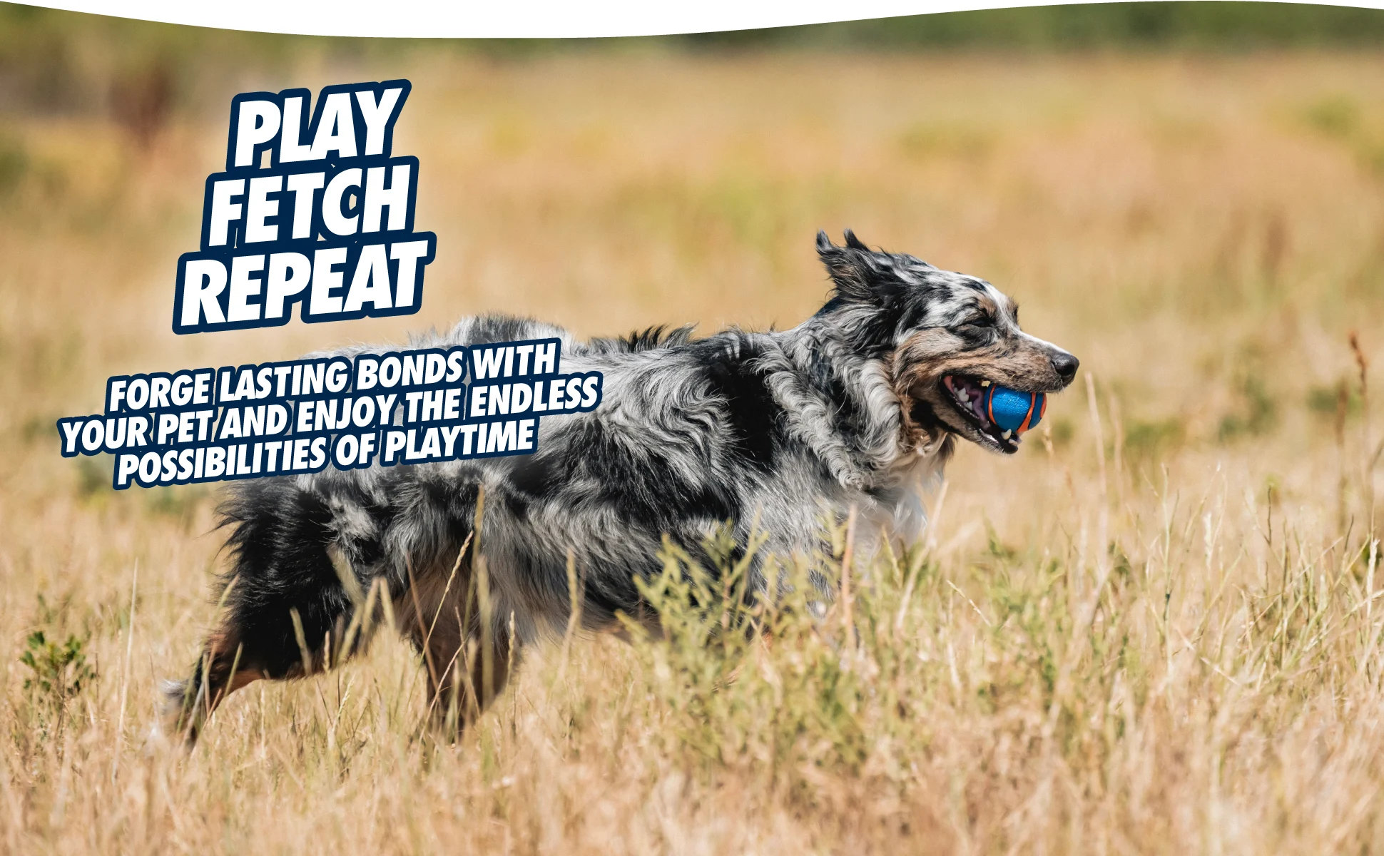 Gummiball mit Quietscher für Hunde M, ø 6 cm, 2 Stück – Chuckit! Ultra Squeaker Ball – Bild 6