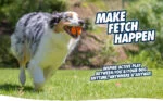 Gummiball für Hunde, Ø 5 cm, 2 Stück – Chuckit! Fetch Ball S – Bild 3