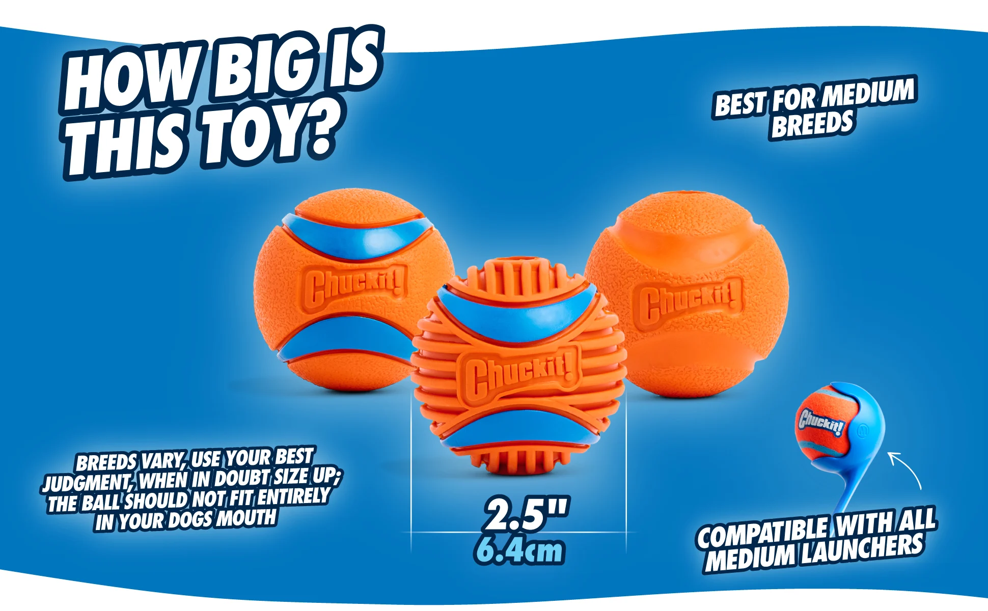 Hundeball aus Gummi, Ø 6 cm, 2 Stück – Chuckit! Fetch Ball M – Bild 4