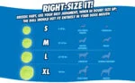 Hundebälle mit Licht und Geräusch, 3 Stück, Ø 5 cm – Chuckit! Fetch Medley S – Bild 3