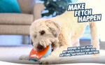 Schiebespielzeug für Hunde mit Quietscher, 18 x 14 cm – Chuckit! Indoor Super Slider – Bild 4