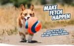 Fußball für Hunde mit Gummikerben, Ø 14 cm – Chuckit! Kick Fetch Dog S – Bild 6