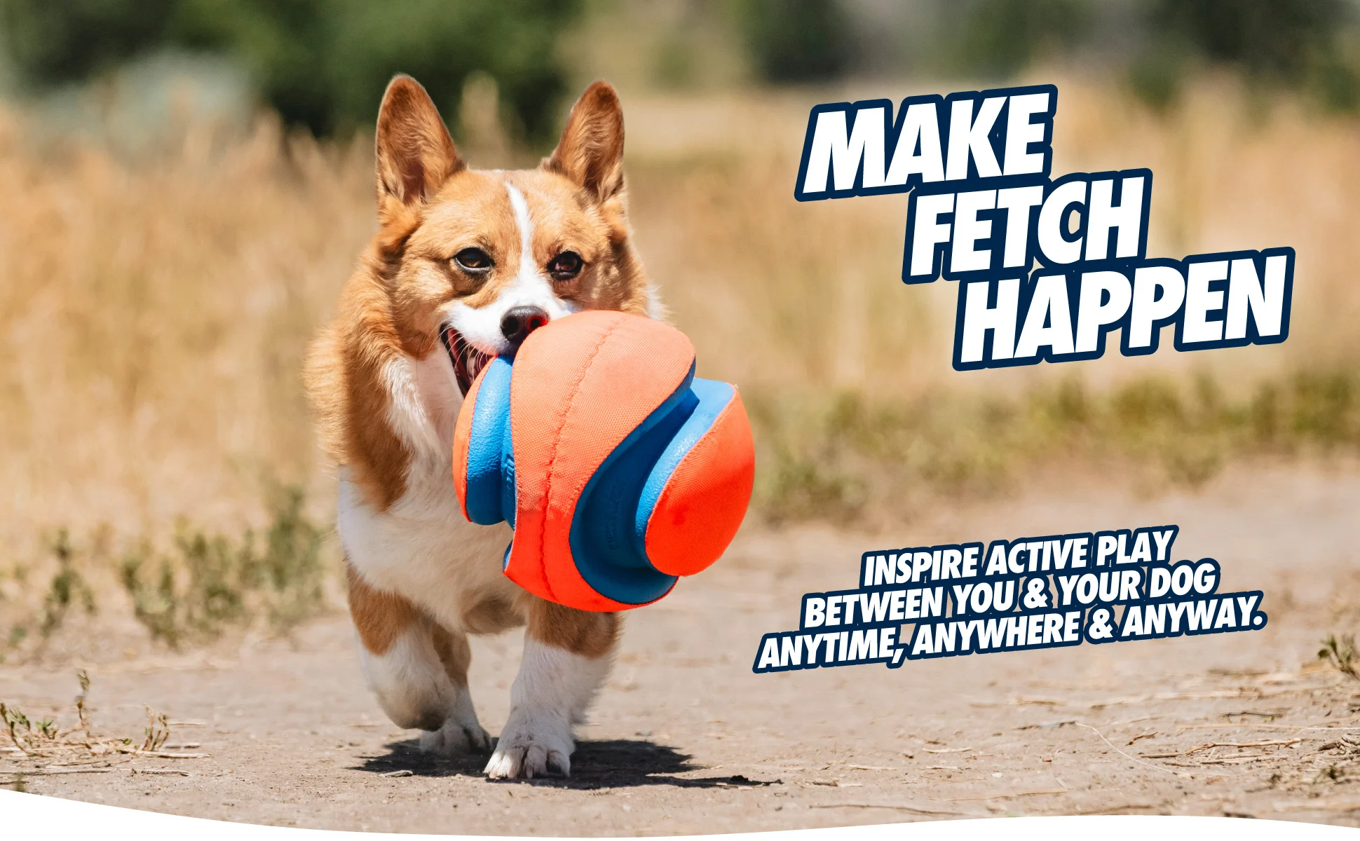 Fußball für Hunde mit Gummikerben, Ø 14 cm – Chuckit! Kick Fetch Dog S – Bild 6