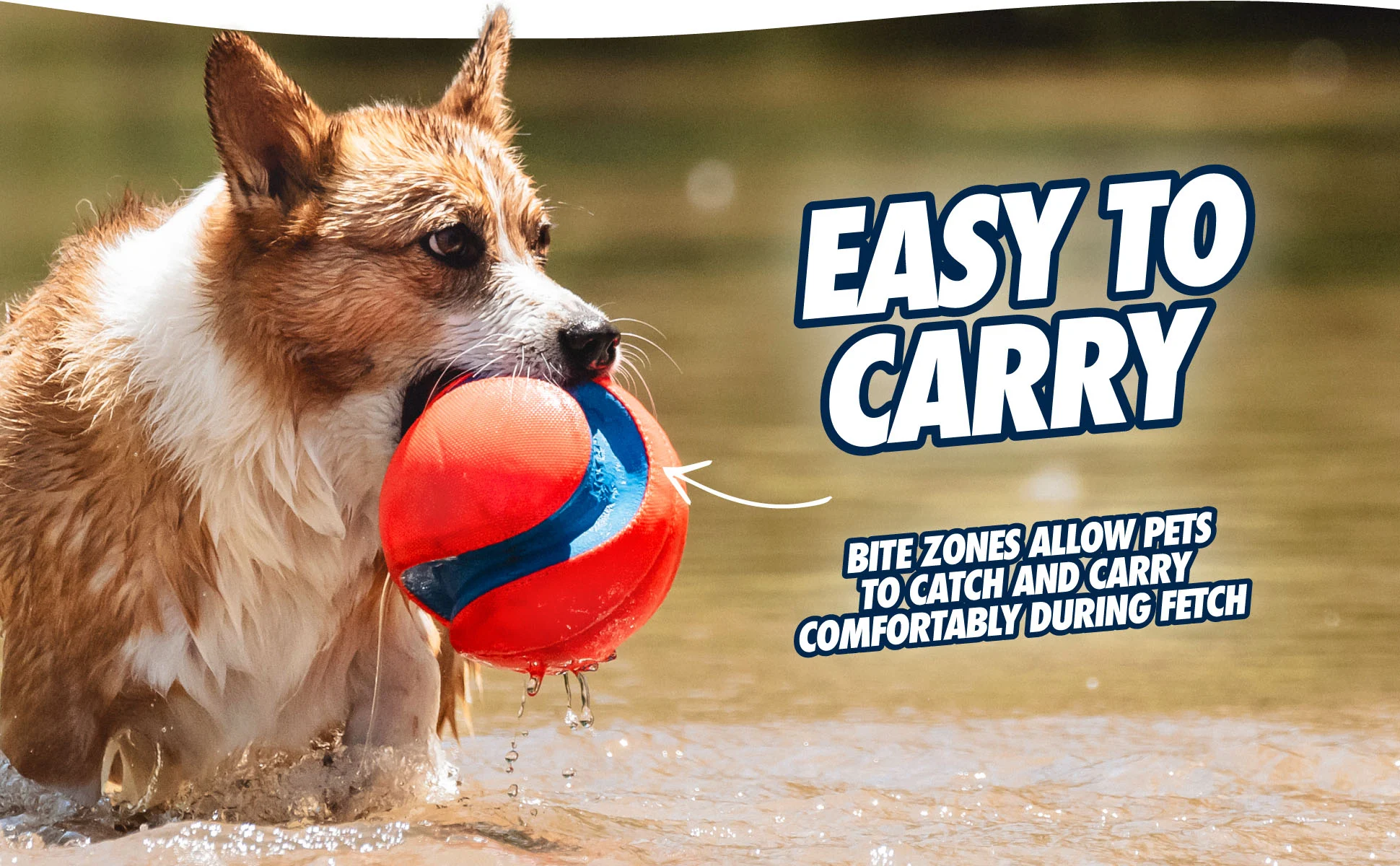 Fußball für Hunde mit Gummikerben, Ø 14 cm – Chuckit! Kick Fetch Dog S – Bild 5