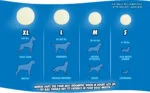 Hundeball aus Gummi, leuchtet im Dunkeln, Ø 9 cm – Chuckit! Max Glow XL – Bild 4