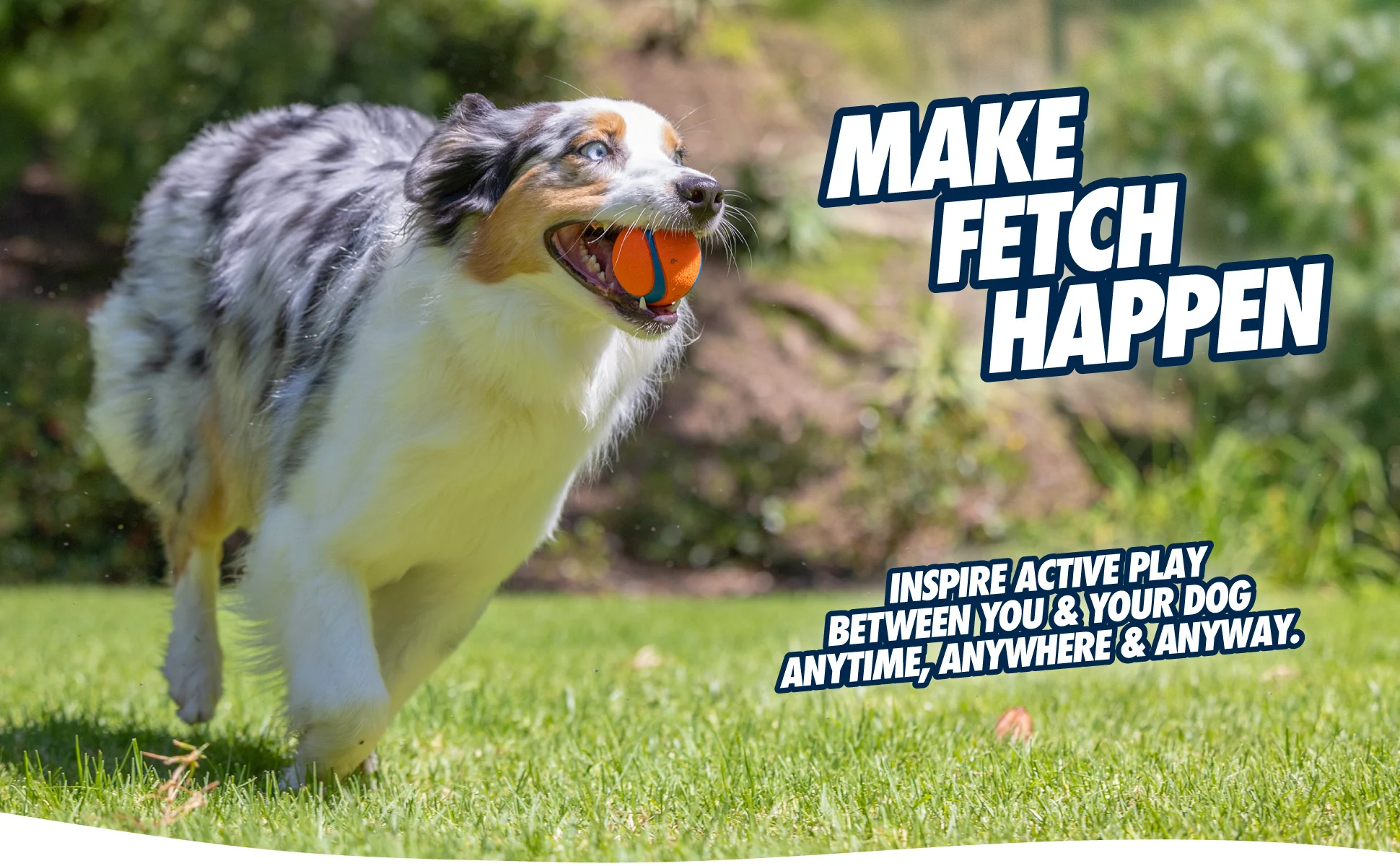 Hundeball aus Gummi mit Quietscher S, ø 5 cm, 2 Stück – Chuckit! Ultra Squeaker Ball – Bild 6