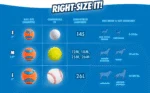 Gummiball für Hunde XXL, ø 10 cm – Chuckit! Ultra Ball – Bild 5