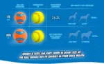 Hundeball aus Gummi mit Quietscher S, ø 5 cm, 1 Stück – Chuckit! Ultra Squeaker Ball – Bild 4