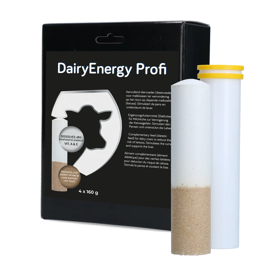 DAIR005.png Energiebolus mit Propionaten, 4 x 160 g – Hofman Animal Care Dairy Energy Bolus – Bild 1
